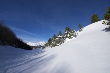 Kış