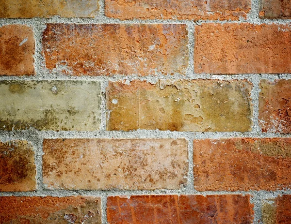 Bakstenen muur — Stockfoto