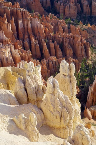 Canyon de Bryce — Photo