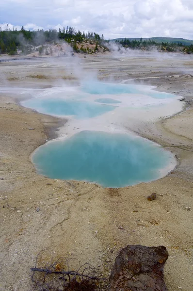 Yellowstone. — Fotografia de Stock