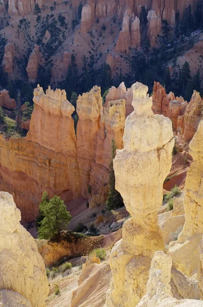 Bryce Canyon. — Fotografia de Stock