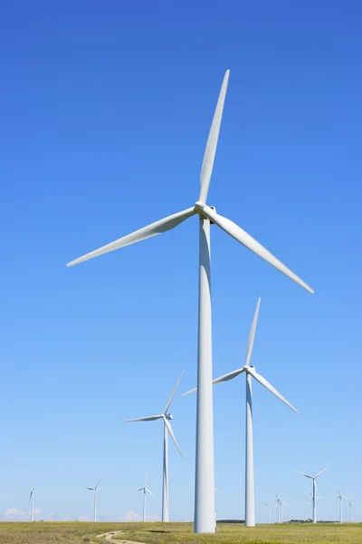 Wind energy — Stock Photo, Image