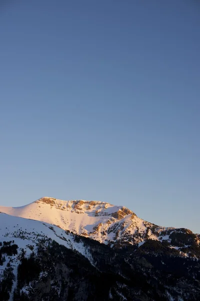 Pyrénées — Photo