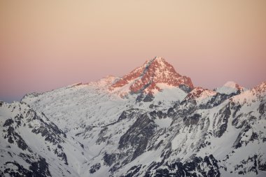 pico palas