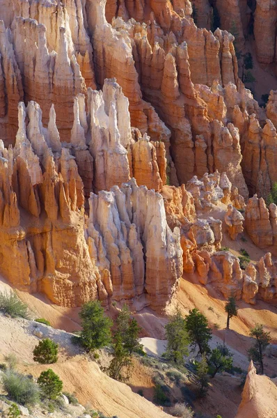 Bryce Canyon — Stock Photo, Image