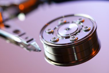 Disk