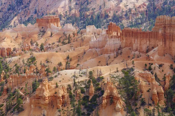 Cañón de Bryce — Foto de Stock