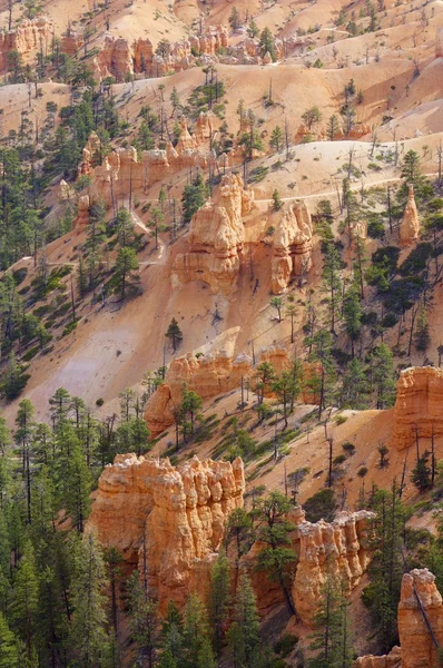 Cañón de Bryce — Foto de Stock