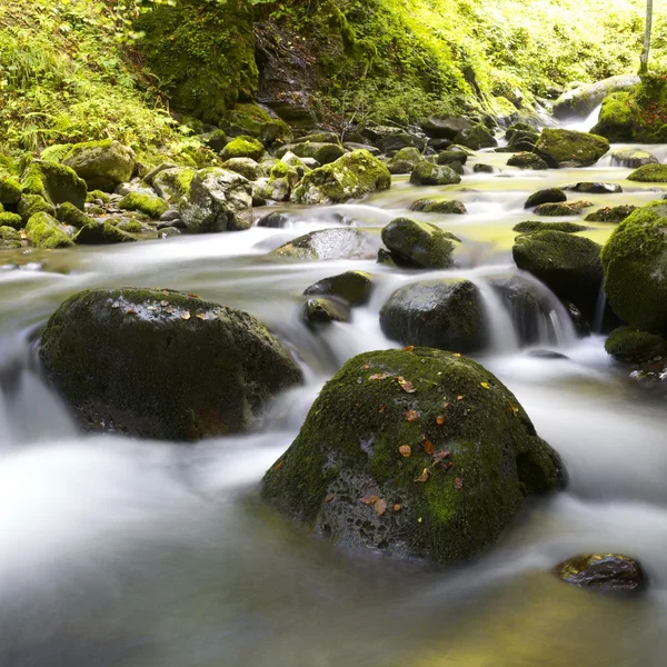 Creek — Zdjęcie stockowe