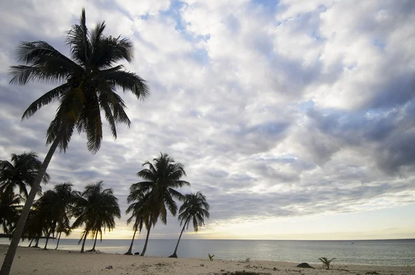 Tropical sunset — Stock Photo, Image