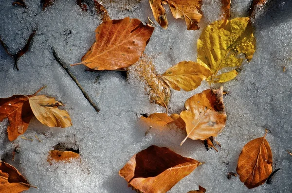 Invierno — Foto de Stock