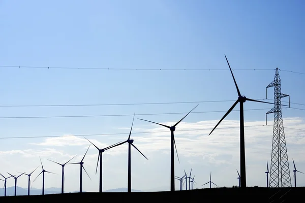 Energía eólica — Foto de Stock