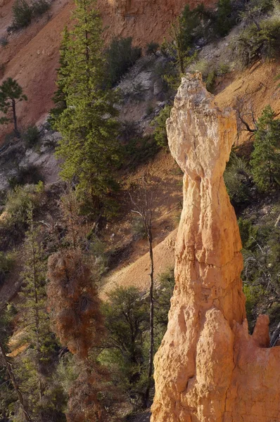 Bryce Canyon. — Fotografia de Stock