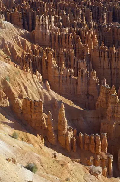 Bryce Canyon Ordförande — Stockfoto