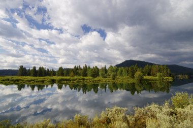 Grand Teton Ulusal Parkı