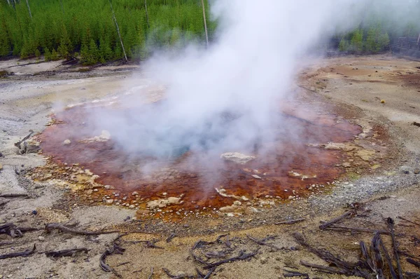 Yellowstone. — Fotografia de Stock