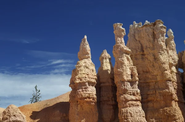 Bryce Canyon. — Fotografia de Stock