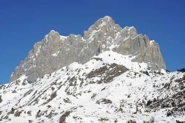 Pico de foratata — Fotografia de Stock