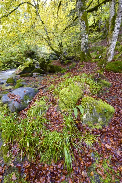 Pyrenéerna — Stockfoto