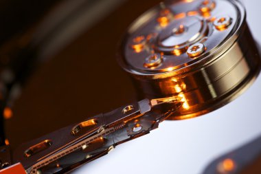 Disk