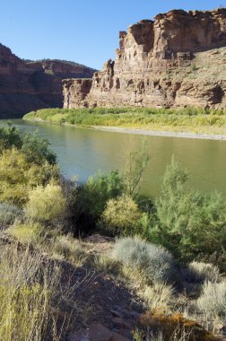 Colorado Nehri