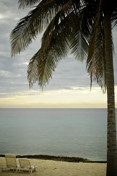 Atardecer tropical — Foto de Stock