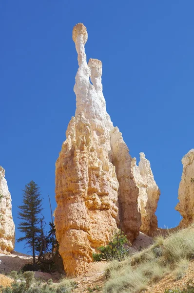 Bryce Canyon — Stock Photo, Image