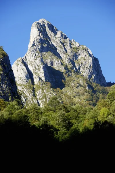 Πυρηναία — Φωτογραφία Αρχείου