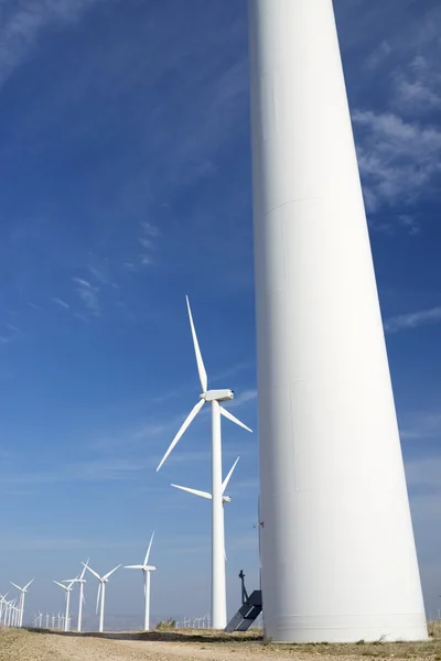 Wind energy — Stock Photo, Image