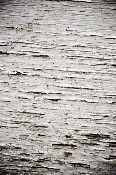 Wood background — Stock Photo, Image