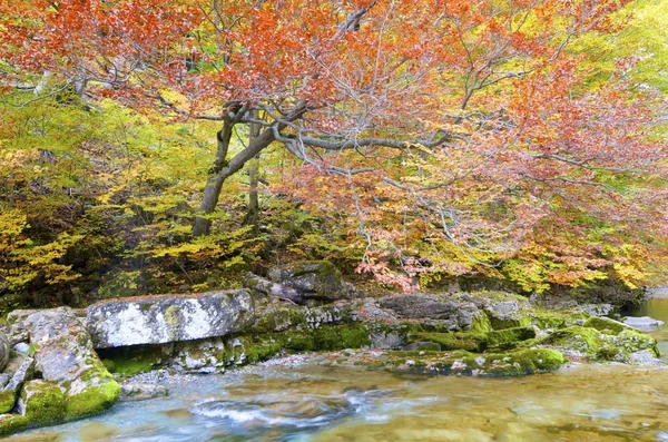 奥德山辎 — 图库照片