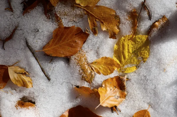 Invierno — Foto de Stock