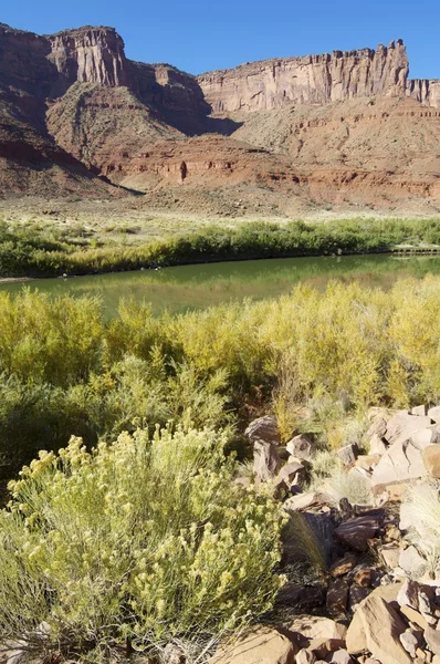 Colorado river — Stock Photo, Image