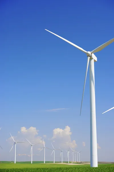 Wind energy — Stock Photo, Image