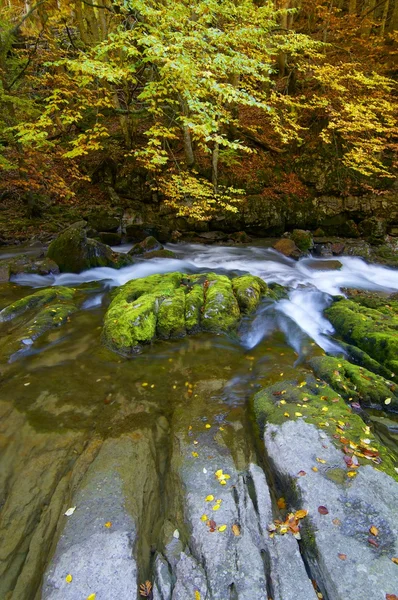 Ordesa — Stok fotoğraf