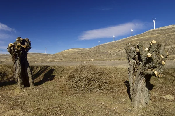 Energie eoliană — Fotografie, imagine de stoc