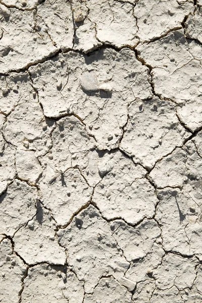 Antecedentes Alta Resolución Creados Con Tierras Sequía — Foto de Stock
