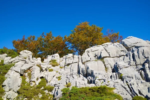 Skalnaté Pásy Podzimní Stromy Pierre Saint Martin Arette Pyreneje Francii — Stock fotografie