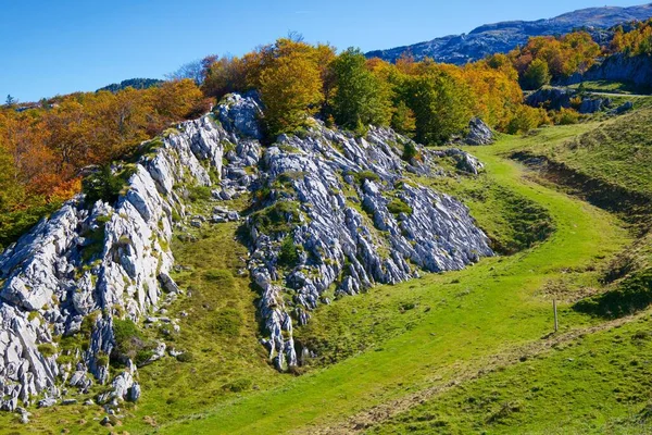 Осенний Лес Пьер Сен Мартен Арет Пиренеи Франции — стоковое фото