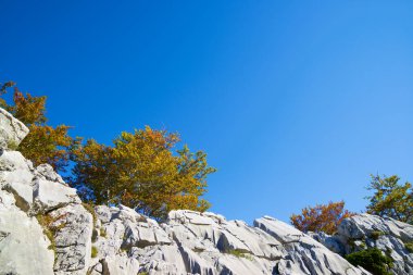 Pierre Saint-Martin, Arette, Fransa 'daki Pireneler' de kayalık şerit ve sonbahar ağaçları.