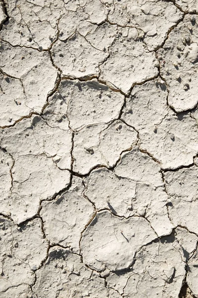 Achtergrond Hoge Resolutie Gecreëerd Met Droogteland — Stockfoto