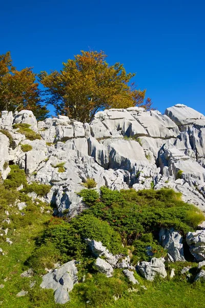 Rotsachtige Strook Herfstbomen Pierre Saint Martin Arette Pyreneeën Frankrijk — Stockfoto