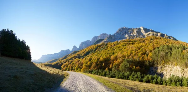 Anso Vadisi Ndeki Orman Spanya Aragon Daki Huesca Eyaleti — Stok fotoğraf