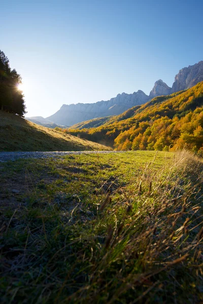 Wald Anso Tal Provinz Huesca Aragonien Spanien — Stockfoto