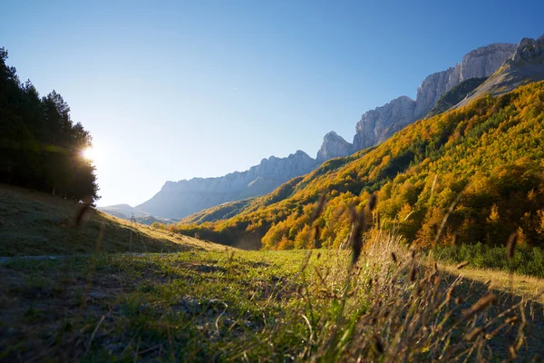 Floresta Vale Anso Província Huesca Aragão Espanha — Fotografia de Stock