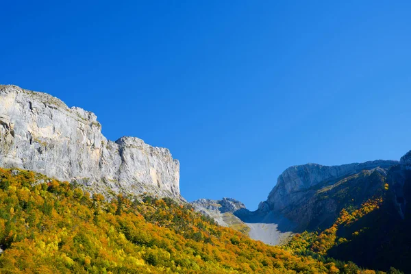 スペインのアラゴン州のユスカ州 Anso Valleyの森 — ストック写真