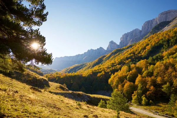 Floresta Vale Anso Província Huesca Aragão Espanha — Fotografia de Stock