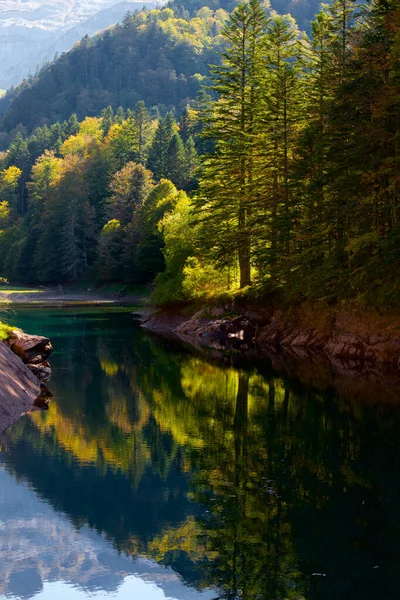 Herbstwald Aspe Tal Pyrenäen Frankreich — Stockfoto