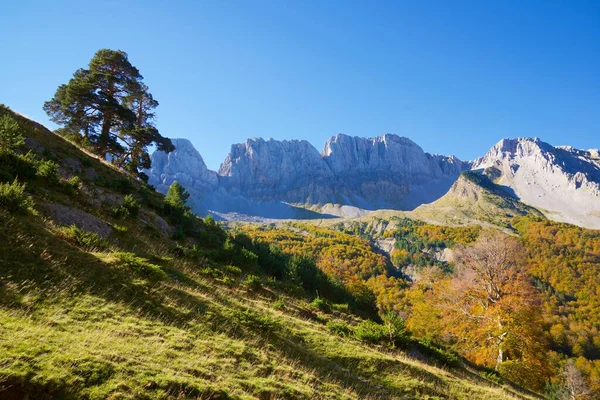 Floresta Vale Anso Província Huesca Aragão Espanha — Fotografia de Stock