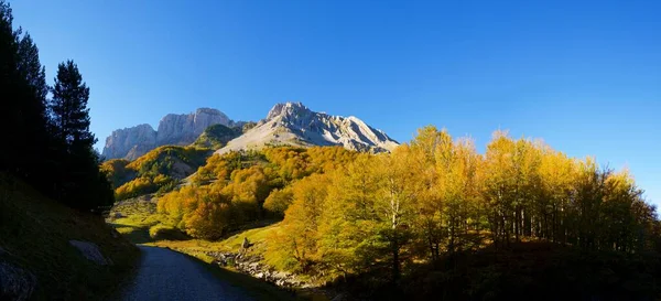 Anso Vadisi Ndeki Orman Spanya Aragon Daki Huesca Eyaleti — Stok fotoğraf